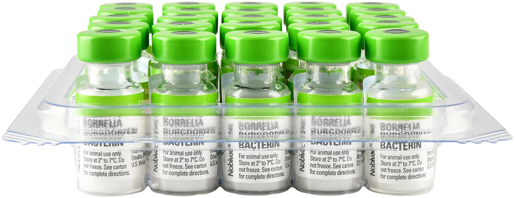 Nobivac Lyme - Image 2