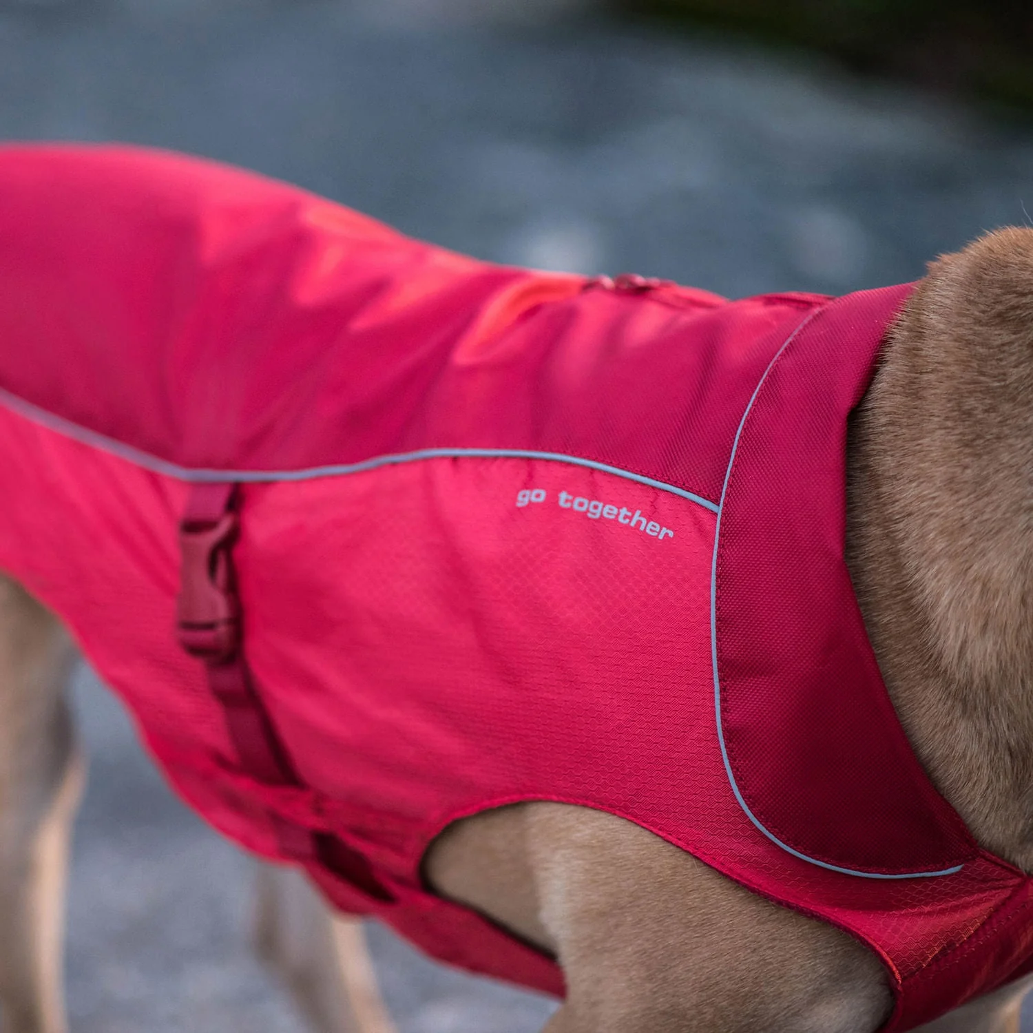Kurgo North Country Coat for Dogs - Image 20