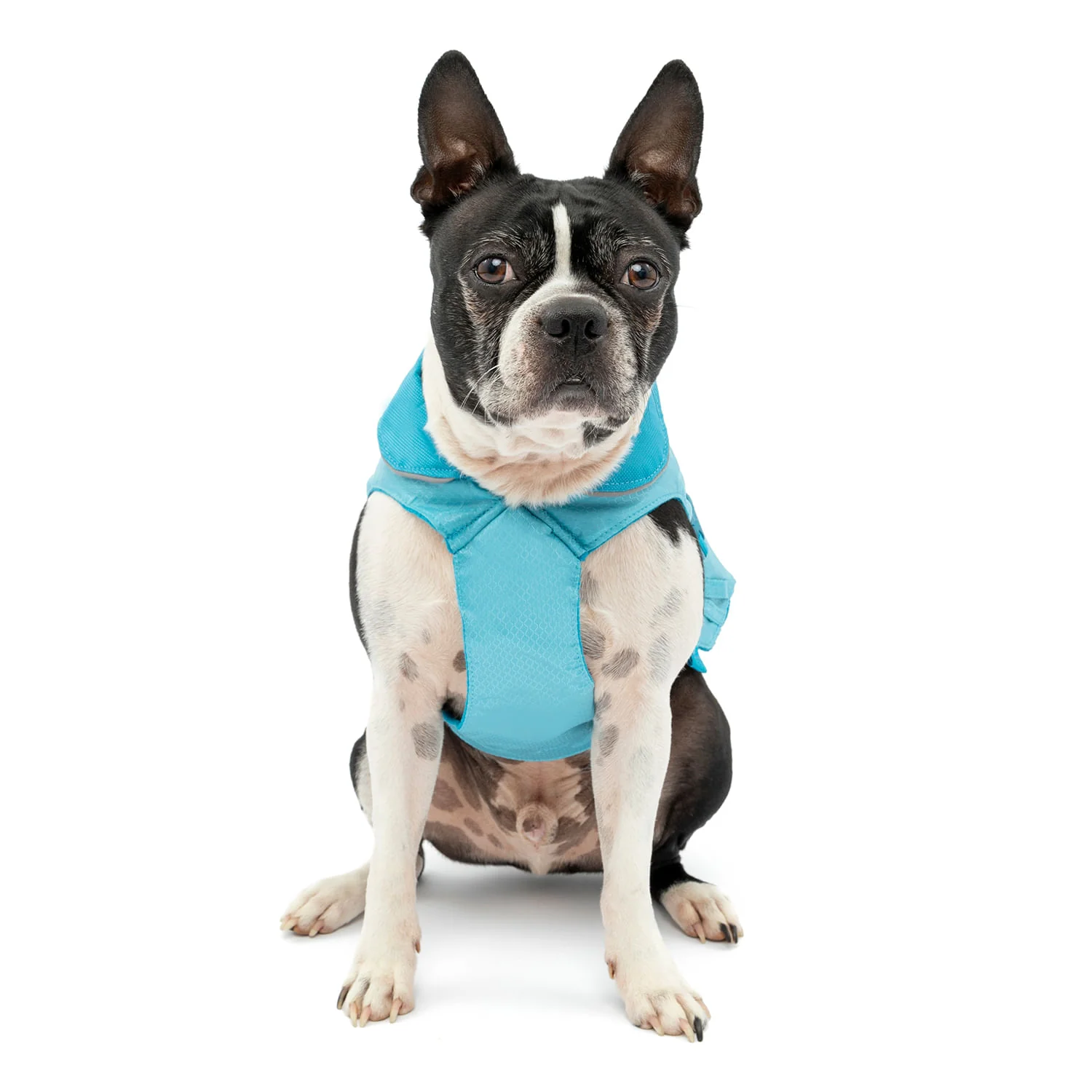Kurgo North Country Coat for Dogs - Image 33