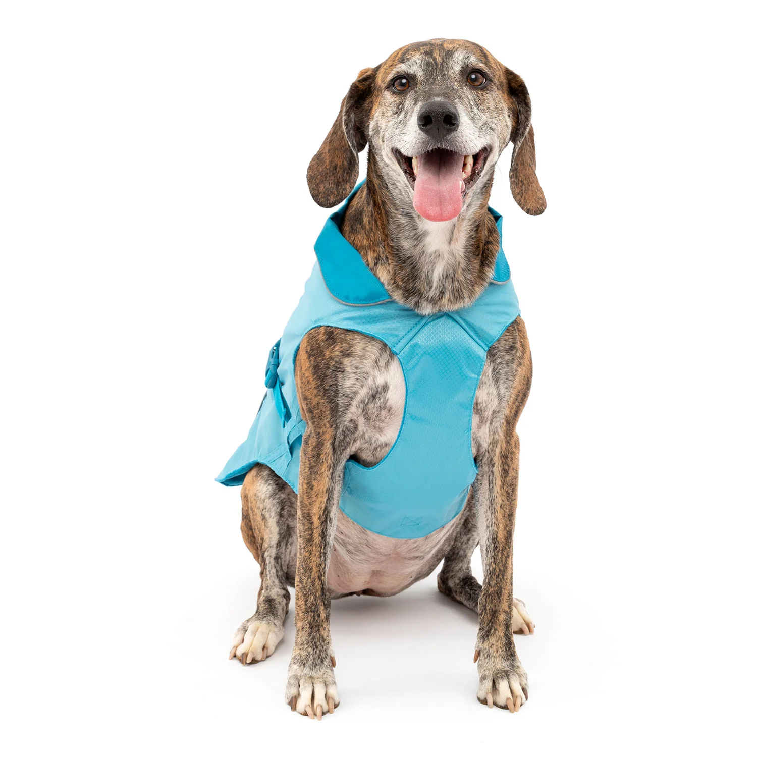 Kurgo North Country Coat for Dogs - Image 39