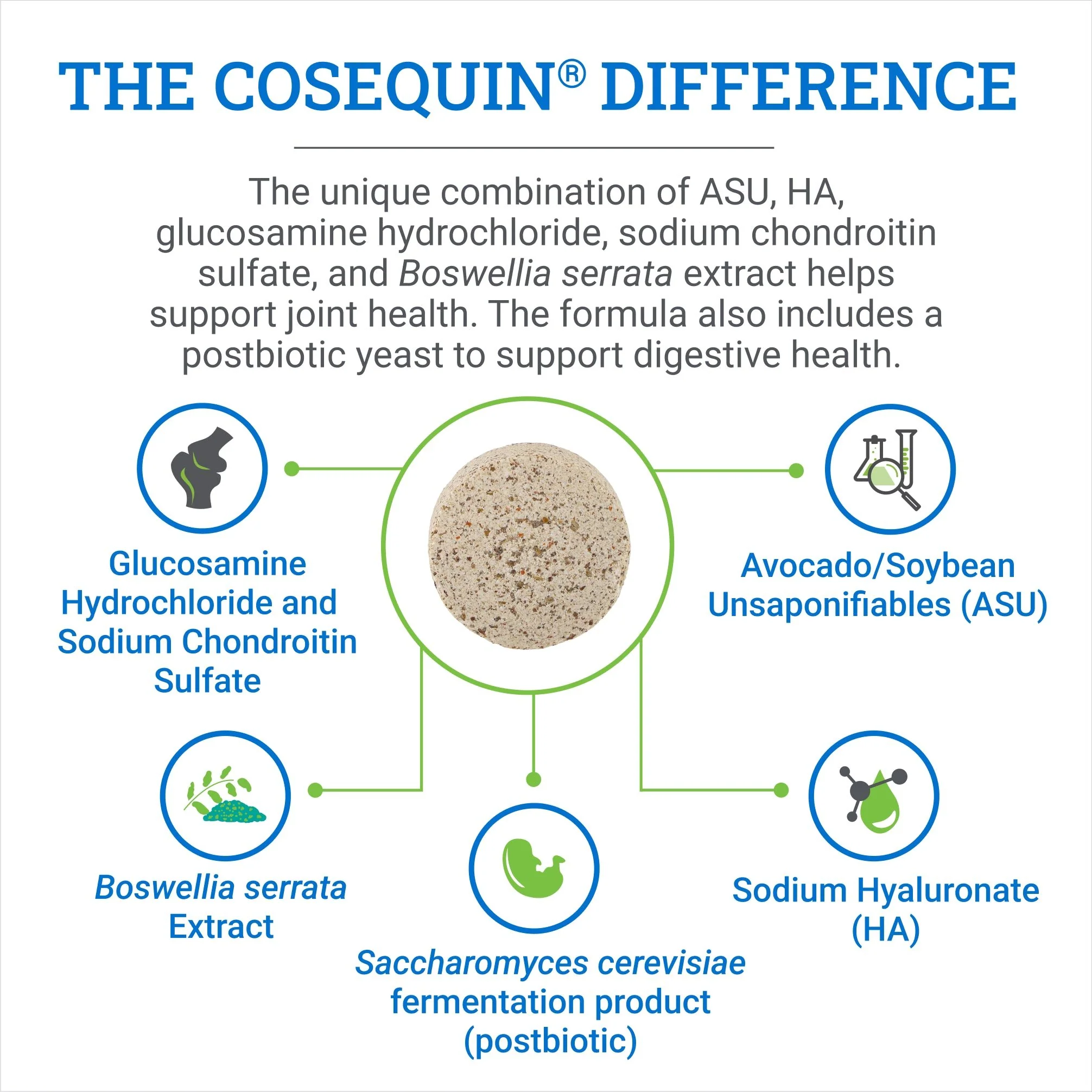 Nutramax Cosequin ASU Joint & Digestive Health Functional Tablets for Horses, 240 Tablets - Image 6
