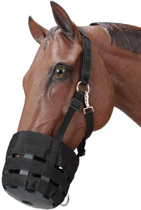 Nylon Horse Grazing Muzzle - Image 4