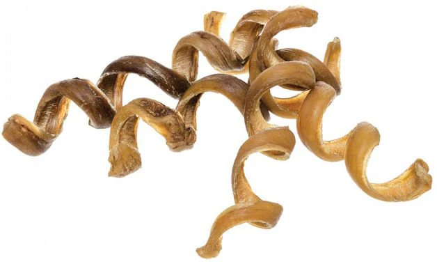 Odor-Free Bully Springs Dog Chew Treat, 6" - Image 4