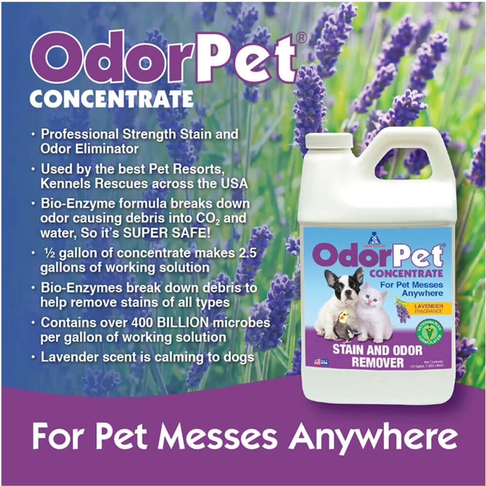 OdorPet Stain + Odor Remover Concentrate with Bio-Active Enzymes - Image 8