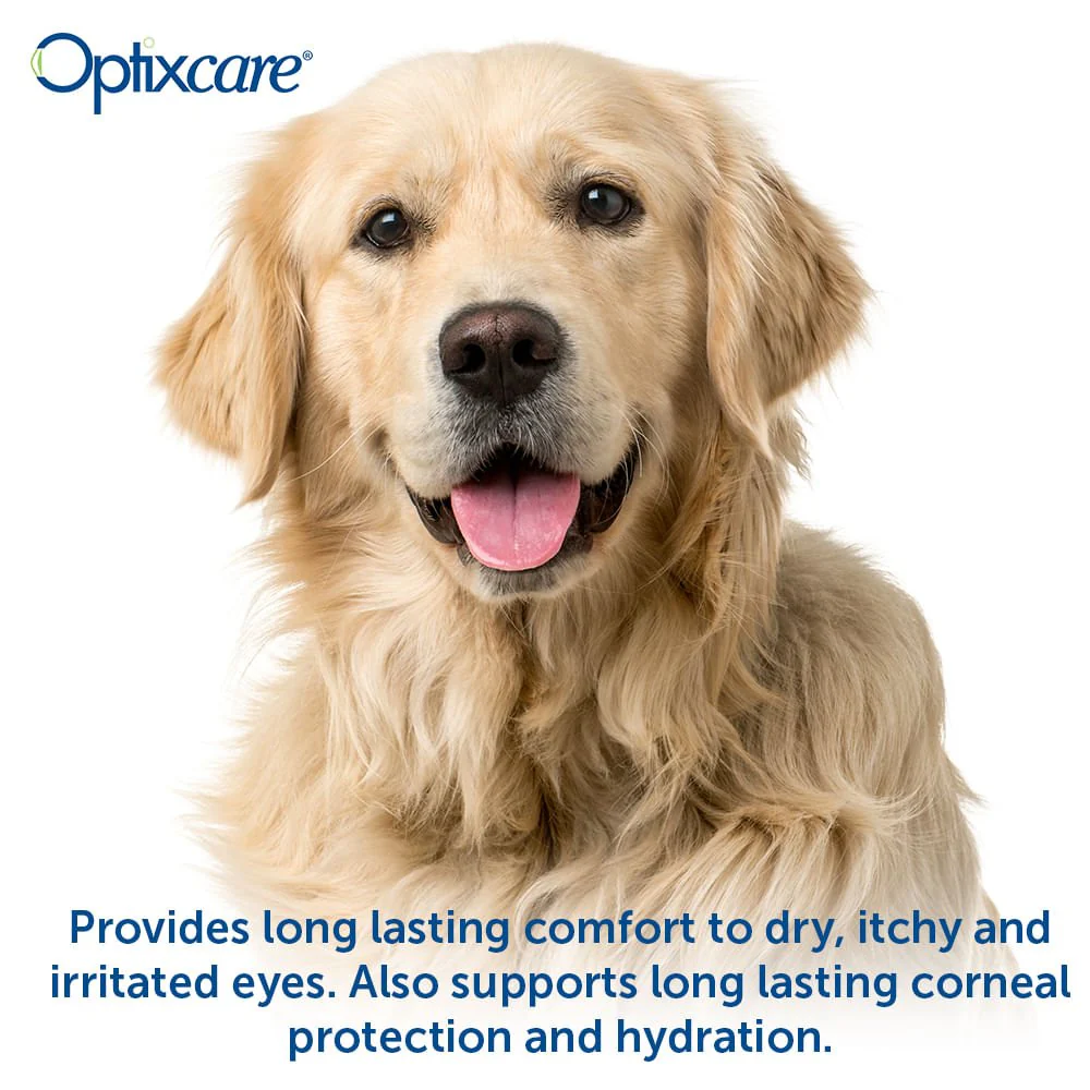 Optixcare Eye Lube Plus, 20gm - Image 5