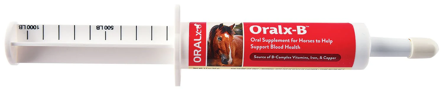 Oral X-B – Blood Health Supplement for Horses