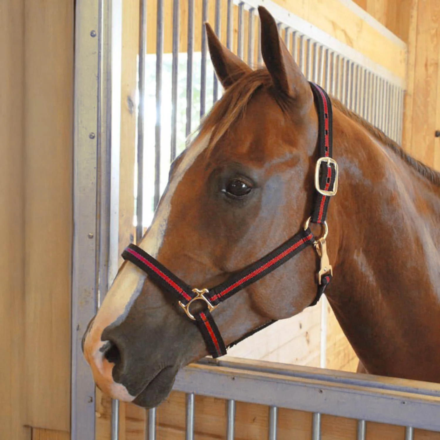 Jeffers Padded Nylon Horse Halter with Throat Snap - Image 11
