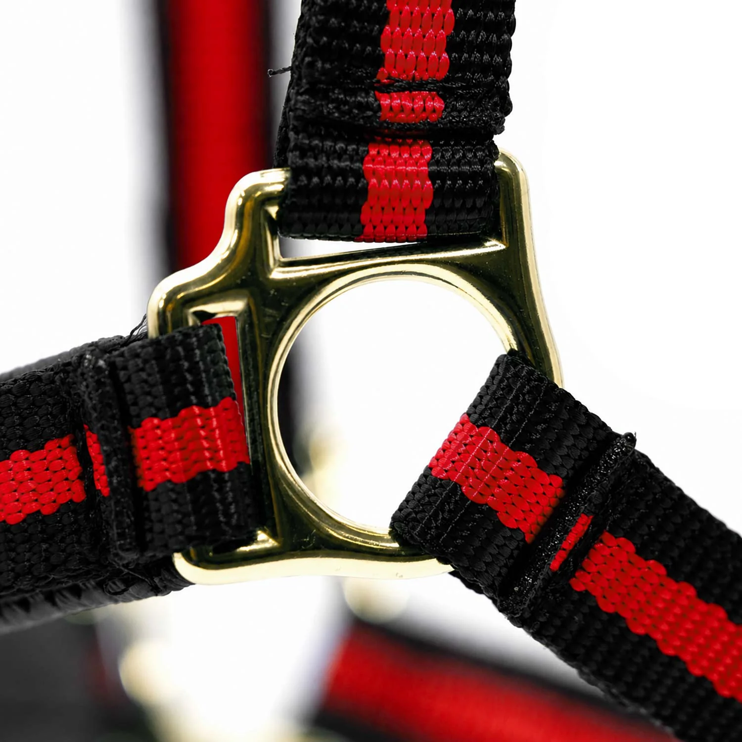 Jeffers Padded Nylon Horse Halter with Throat Snap - Image 15