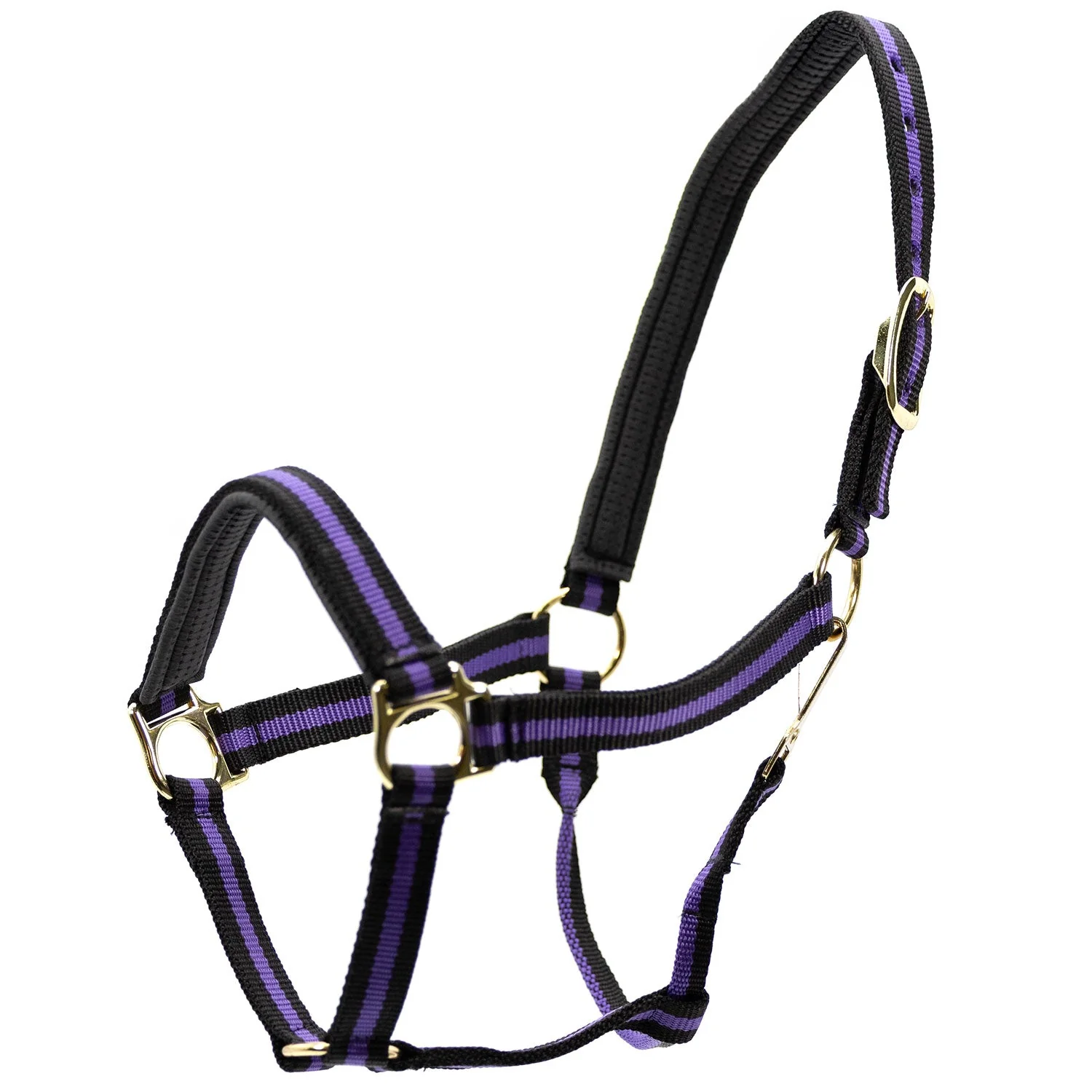 Jeffers Padded Nylon Horse Halter with Throat Snap - Image 17