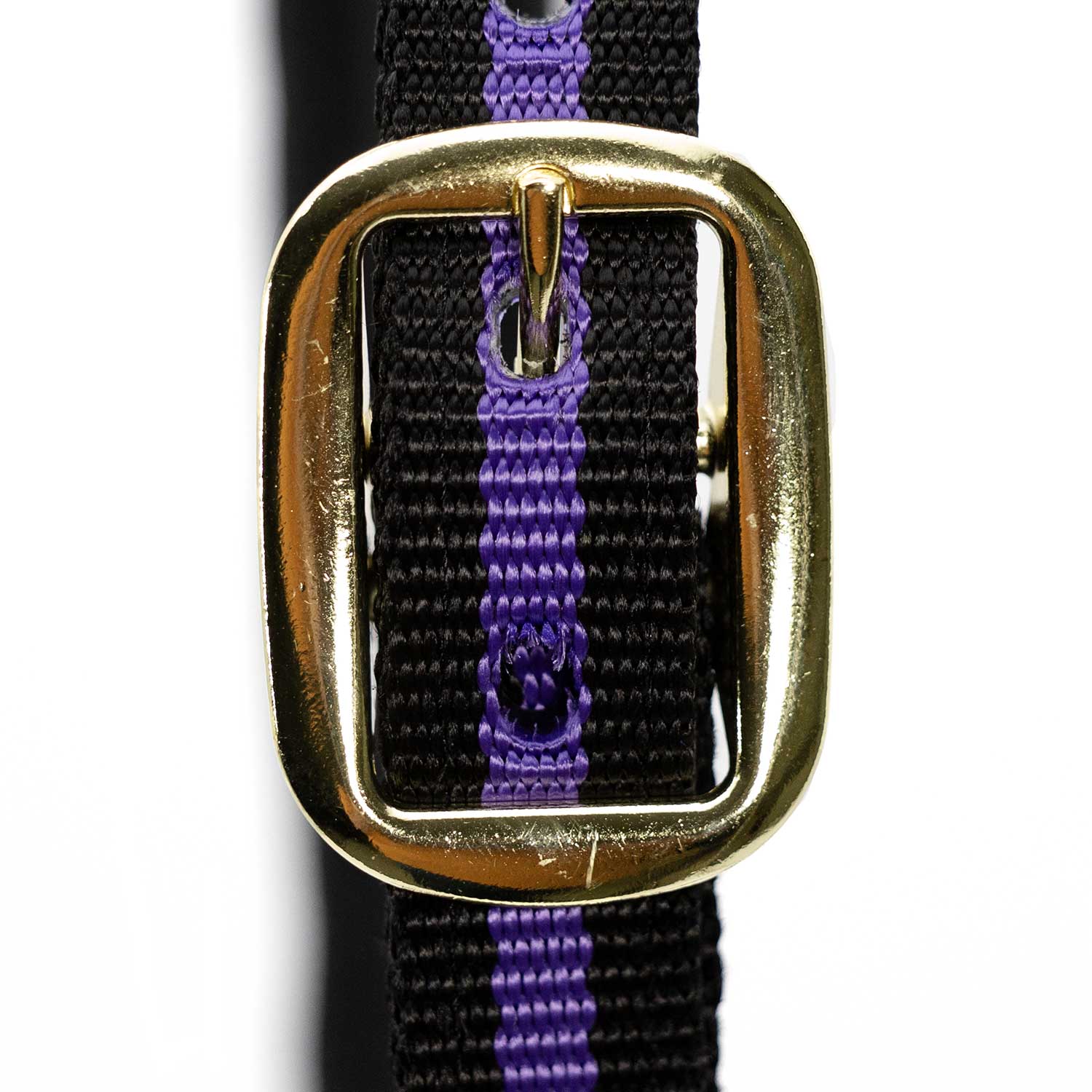 Jeffers Padded Nylon Horse Halter with Throat Snap - Image 18
