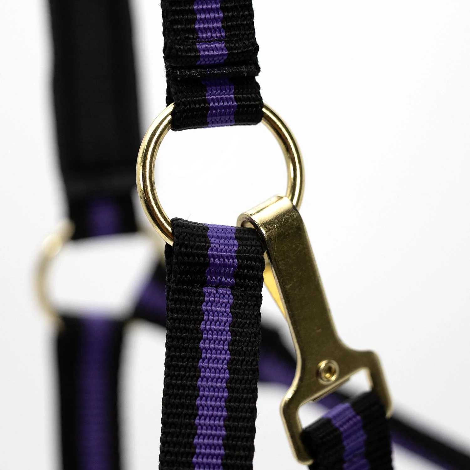 Jeffers Padded Nylon Horse Halter with Throat Snap - Image 19