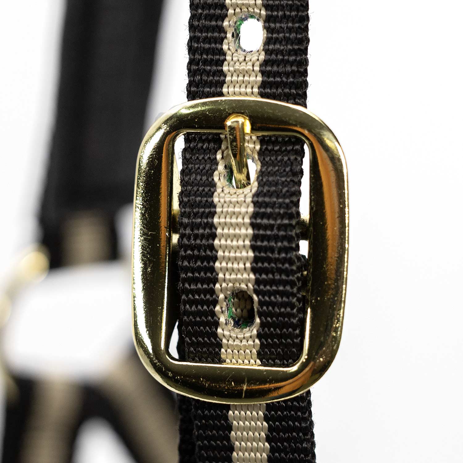 Jeffers Padded Nylon Horse Halter with Throat Snap - Image 23