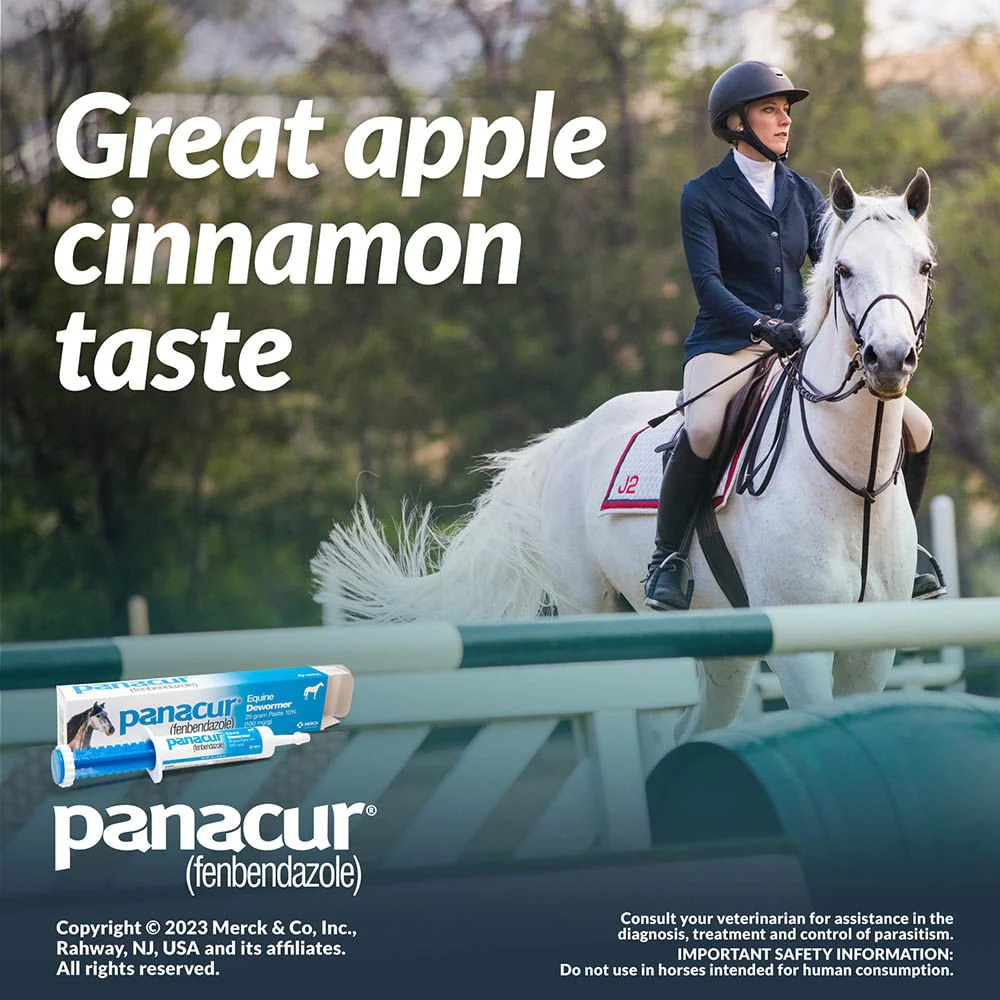 Panacur Equine Fenbendazole Dewormer Paste - Image 4