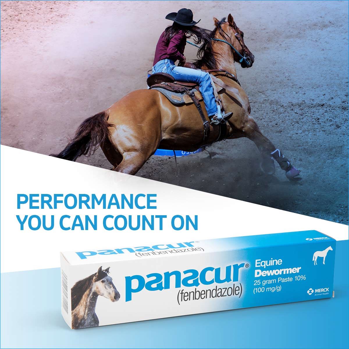 Panacur Equine Fenbendazole Dewormer Paste - Image 5