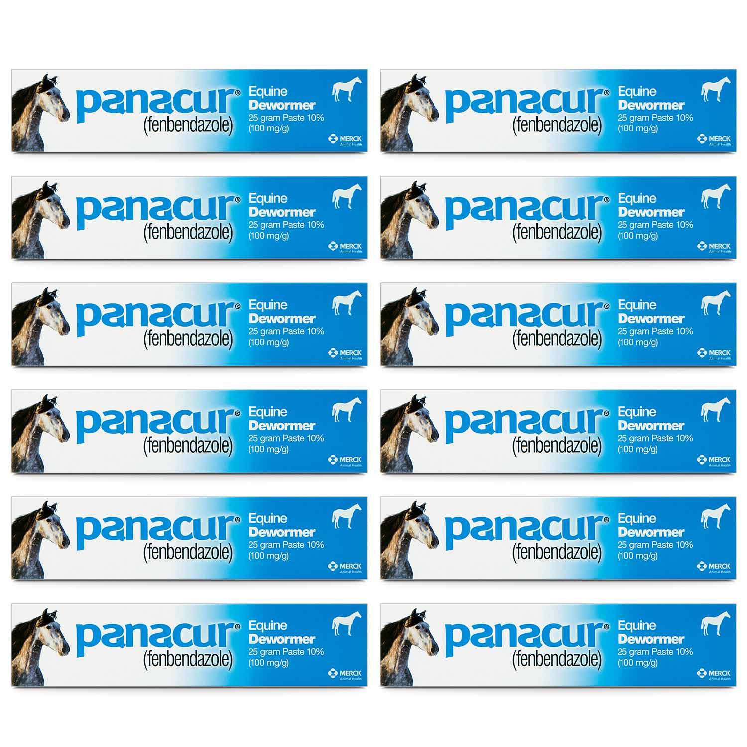 Panacur Equine Fenbendazole Dewormer Paste - Image 9