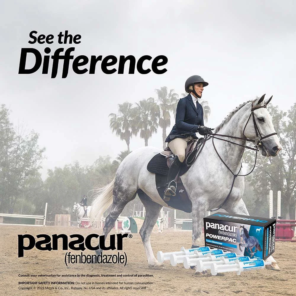 Panacur Powerpac Fenbendazole Horse Dewormer - Image 10
