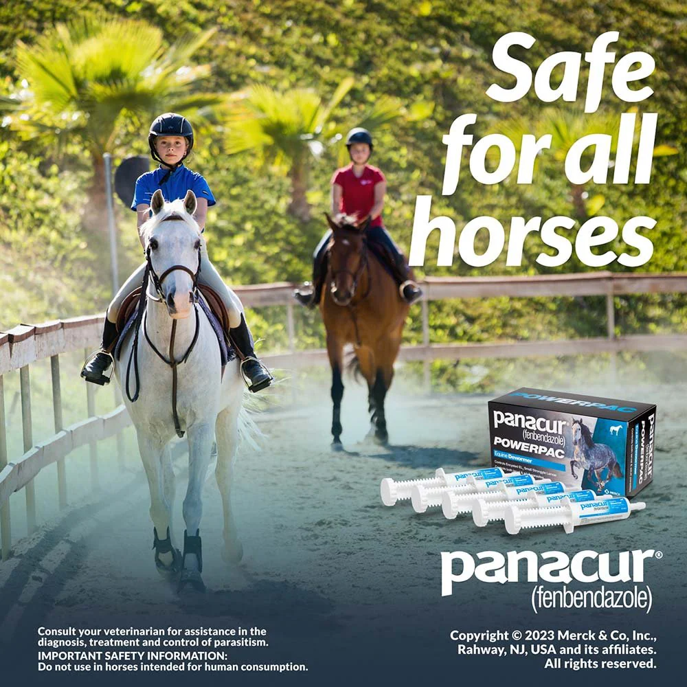 Panacur Powerpac Fenbendazole Horse Dewormer - Image 7