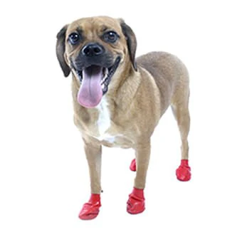 PawZ Waterproof Dog Boots – Disposable, Reusable, Non-Slip Paw Protectors, 12 Pack - Image 6