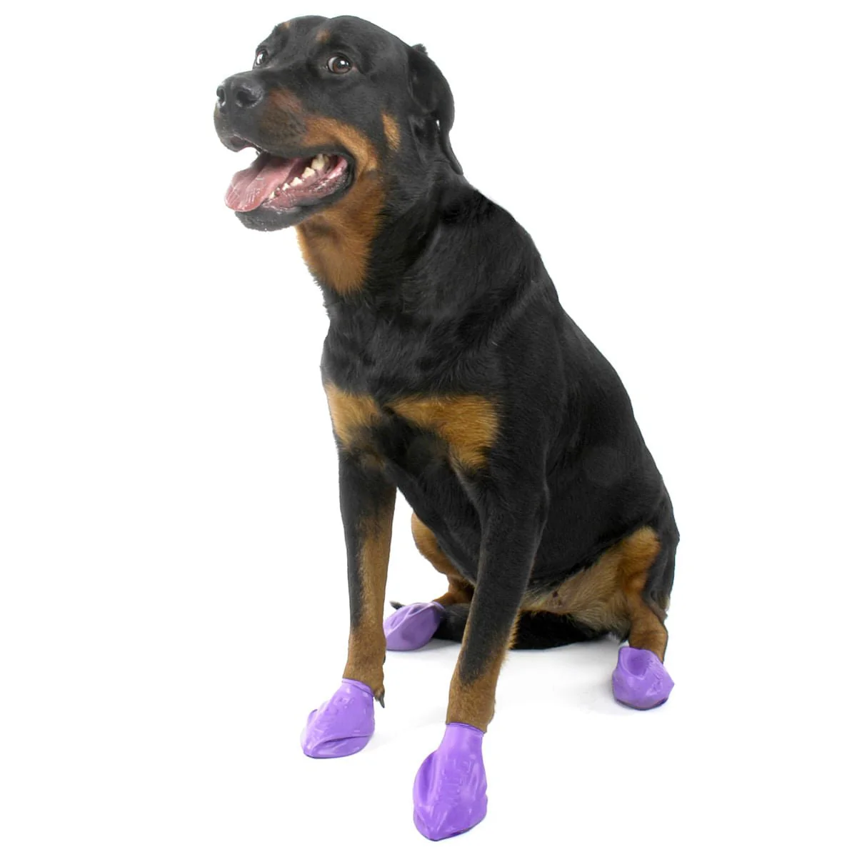 PawZ Waterproof Dog Boots – Disposable, Reusable, Non-Slip Paw Protectors, 12 Pack - Image 8