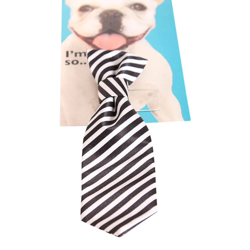 Pet Head I'm So Fly Black & White Stripe Tie - Image 4
