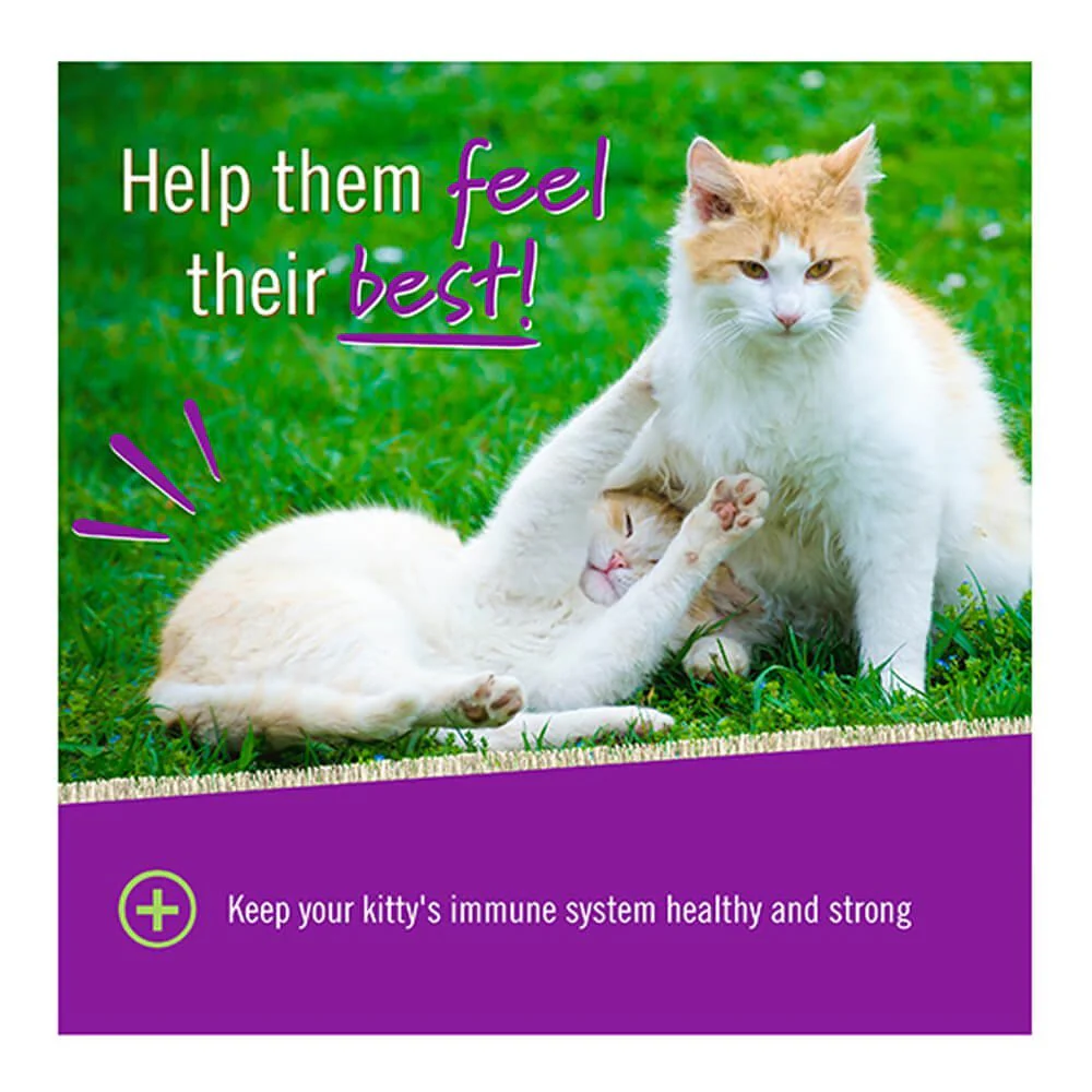 Pet Naturals L-Lysine Chews for Cats, 60 ct - Image 4