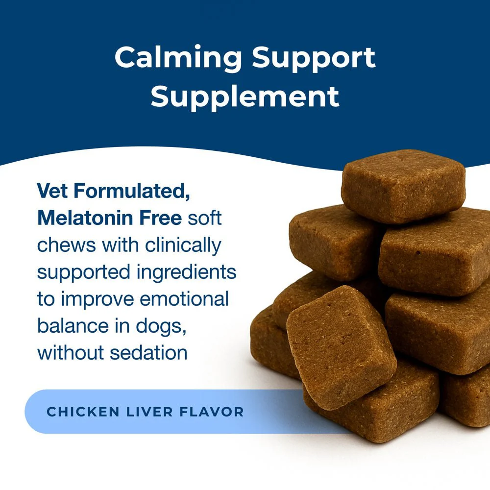 PetAg Dyne Calming & Stress Support Soft Chews for Dogs – Natural Stress Relief for Noise, Travel & Separation Anxiety - Image 4