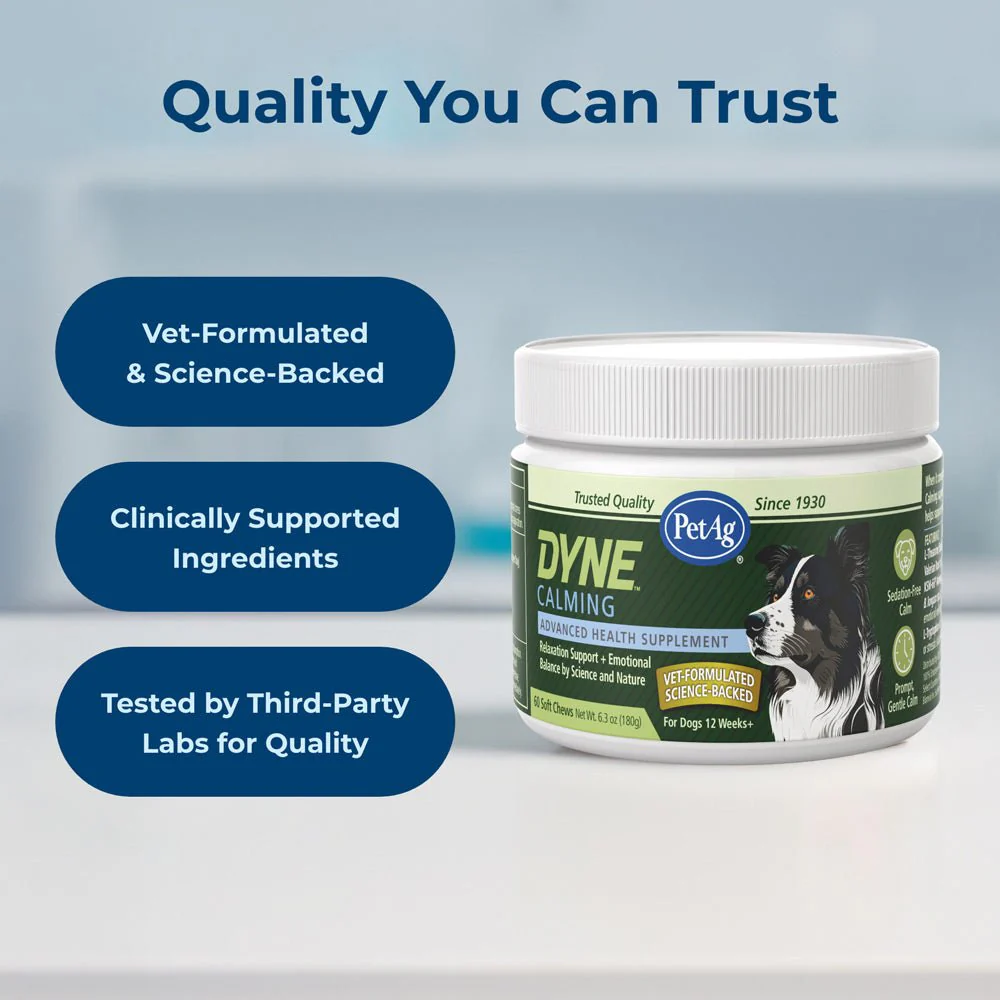 PetAg Dyne Calming & Stress Support Soft Chews for Dogs – Natural Stress Relief for Noise, Travel & Separation Anxiety - Image 7