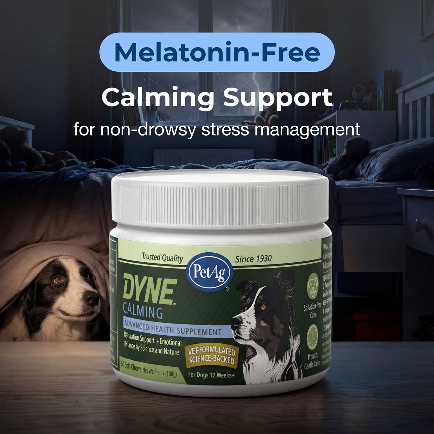 PetAg Dyne Calming & Stress Support Soft Chews for Dogs – Natural Stress Relief for Noise, Travel & Separation Anxiety - Image 9