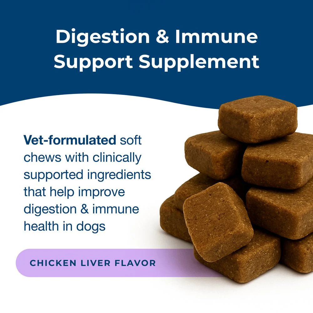 PetAg Dyne Digestion & Immune Support Soft Chews with Probiotics for Dogs, 60 ct - Image 4