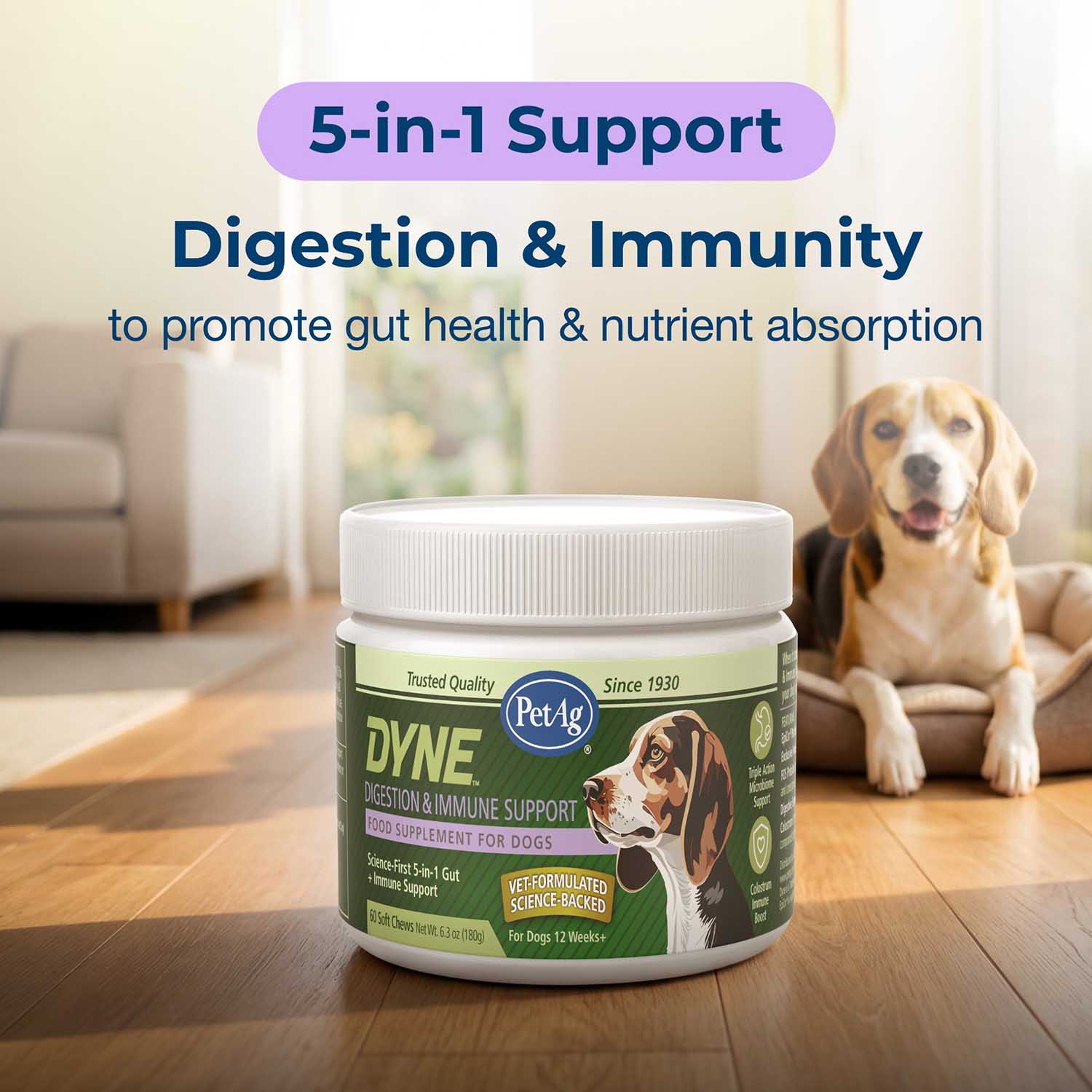 PetAg Dyne Digestion & Immune Support Soft Chews with Probiotics for Dogs, 60 ct - Image 9