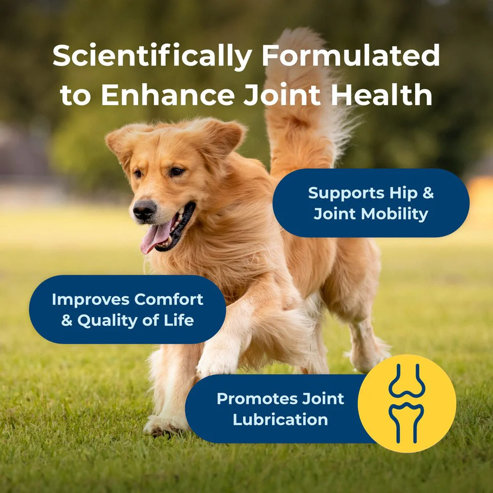 PetAg Dyne Joint Health & Mobility Soft Chews for Dogs – Chicken Liver Flavor, 45 Count - Image 5