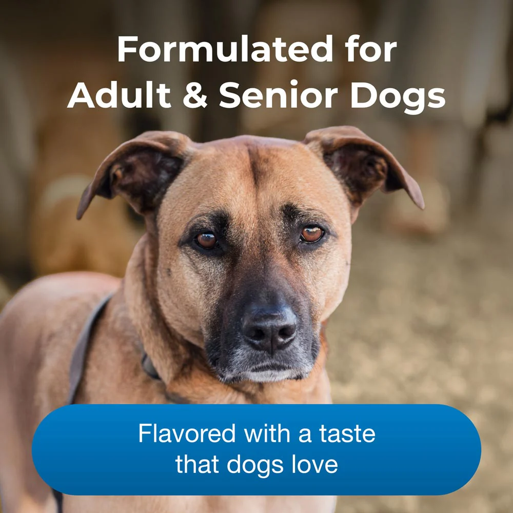 PetAg Esbilac Healthy Aging Powder for Adult & Senior Dogs, 14 oz - Image 6