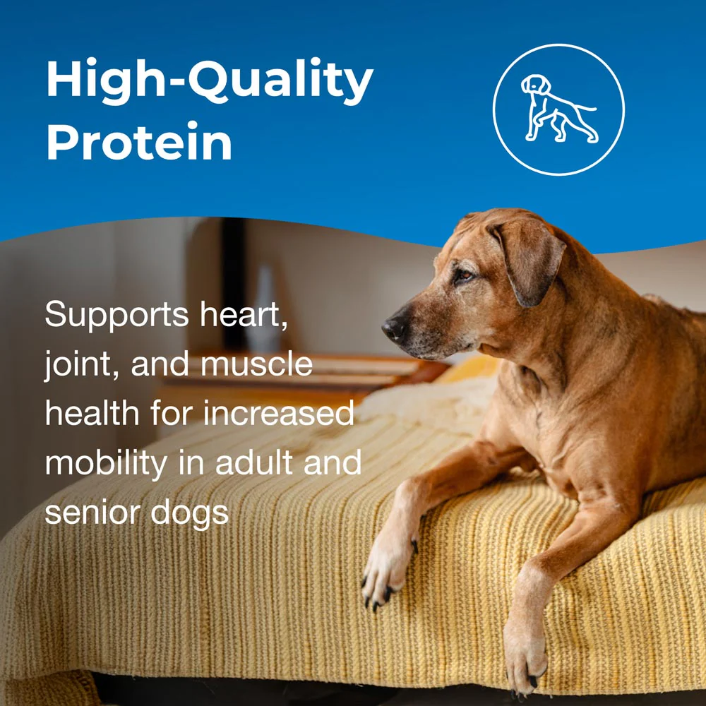 PetAg Esbilac Healthy Aging Powder for Adult & Senior Dogs, 14 oz - Image 8