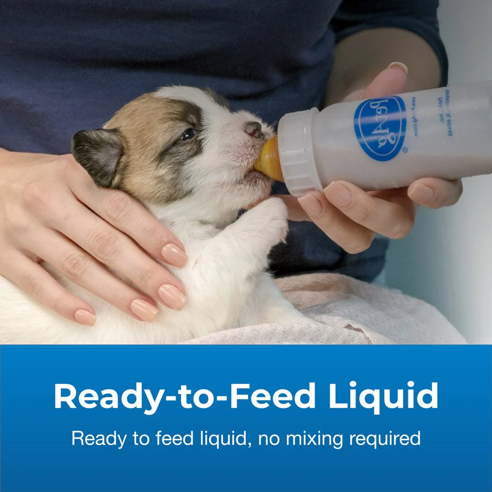 PetAg Goat's Milk Esbilac Puppy Milk Replacer Liquid for Puppies, 16 oz - For Sensitive Stomachs - Image 5