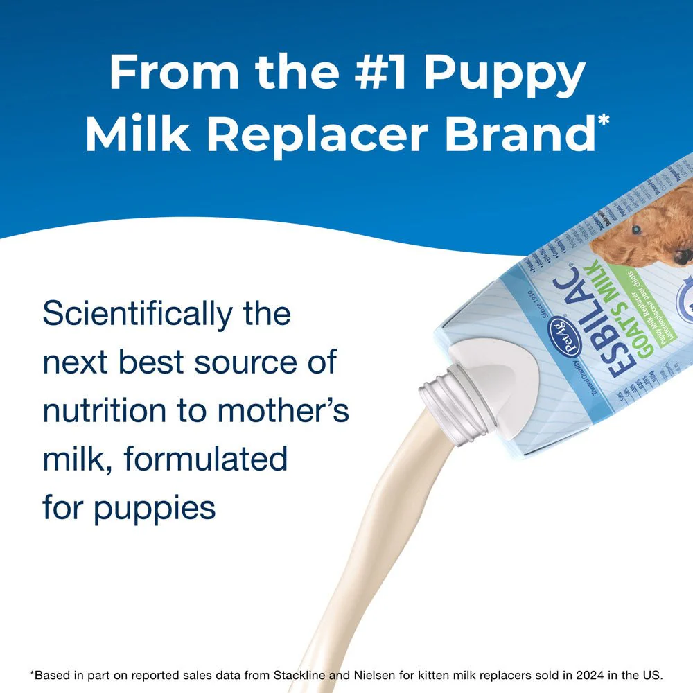PetAg Goat's Milk Esbilac Puppy Milk Replacer Liquid for Puppies, 16 oz - For Sensitive Stomachs - Image 8