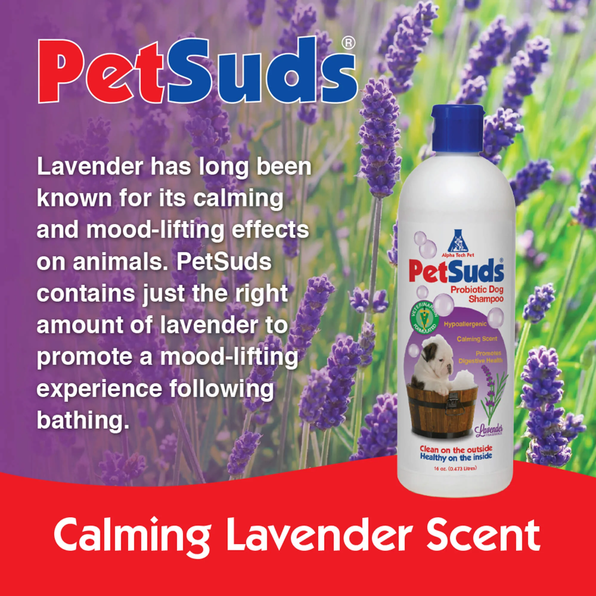 PetSuds Probiotic Pet Shampoo, 16 oz - Image 4