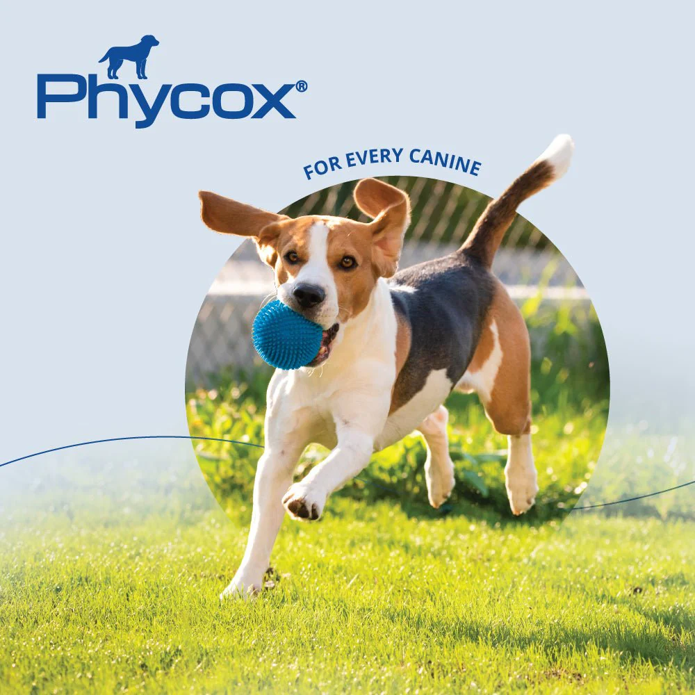Phycox Small Bites Canine Joint Supplement, 120 ct - Image 5