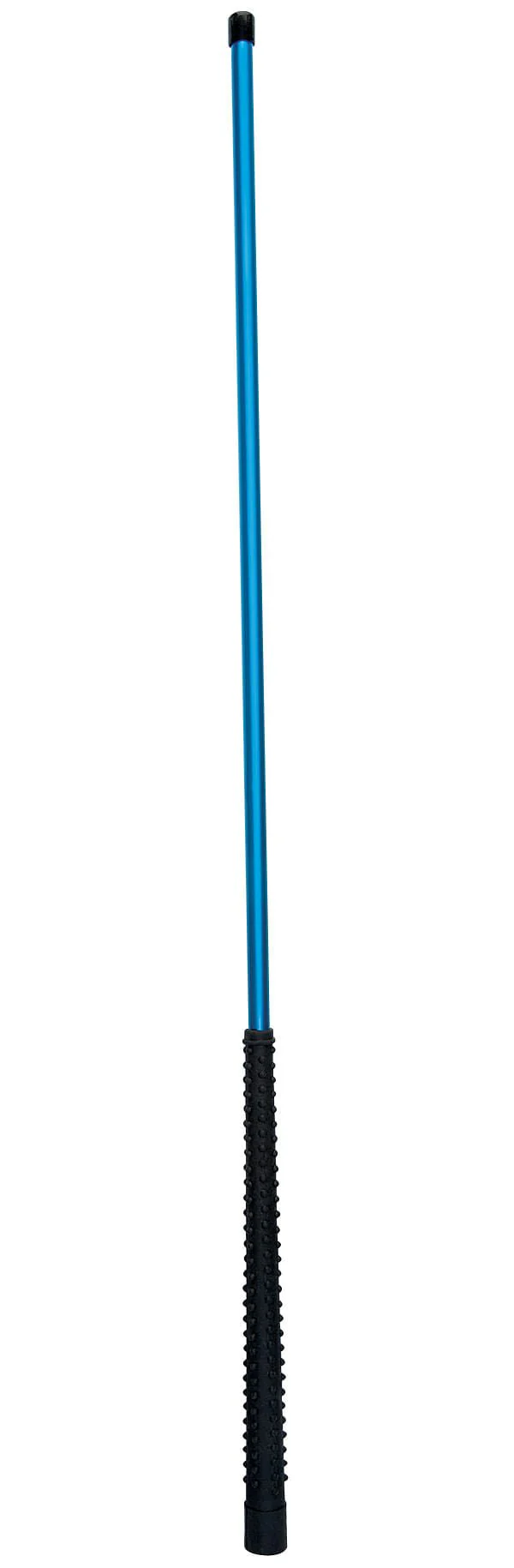 Pig Sticks, 30" L