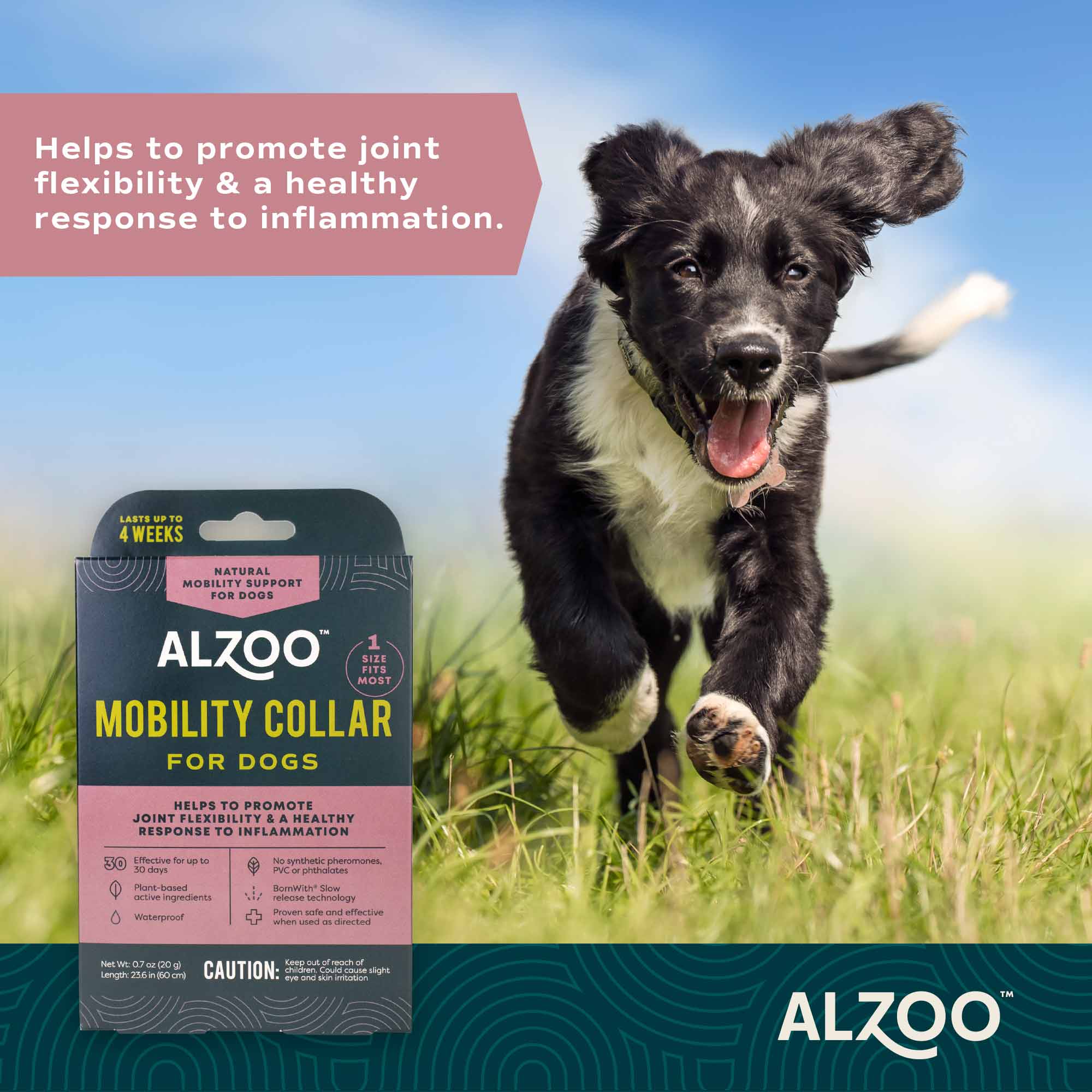 ALZOO Plant-Based Mobility Collar for Dogs - Helps Joint Flexibility & Inflammation - Image 6