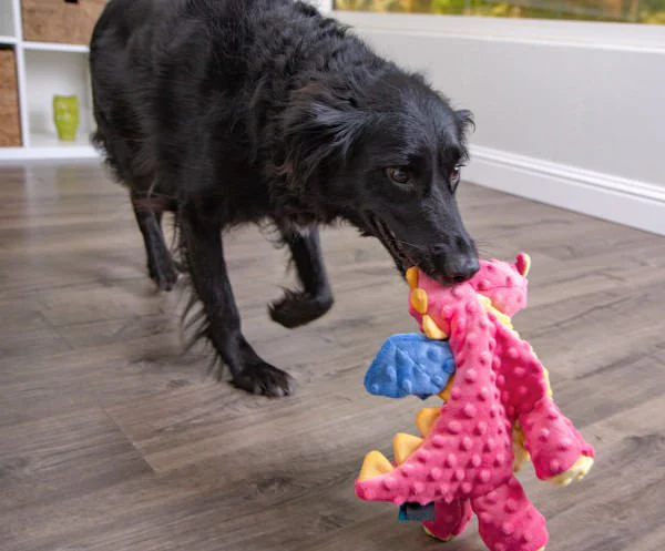 Plush Dragon Dog Toy - Image 15