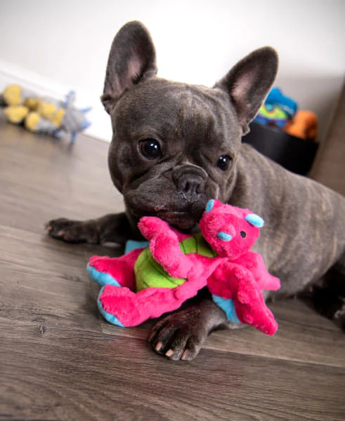 Plush Dragon Dog Toy - Image 44