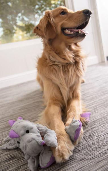 Plush Dragon Dog Toy - Image 59