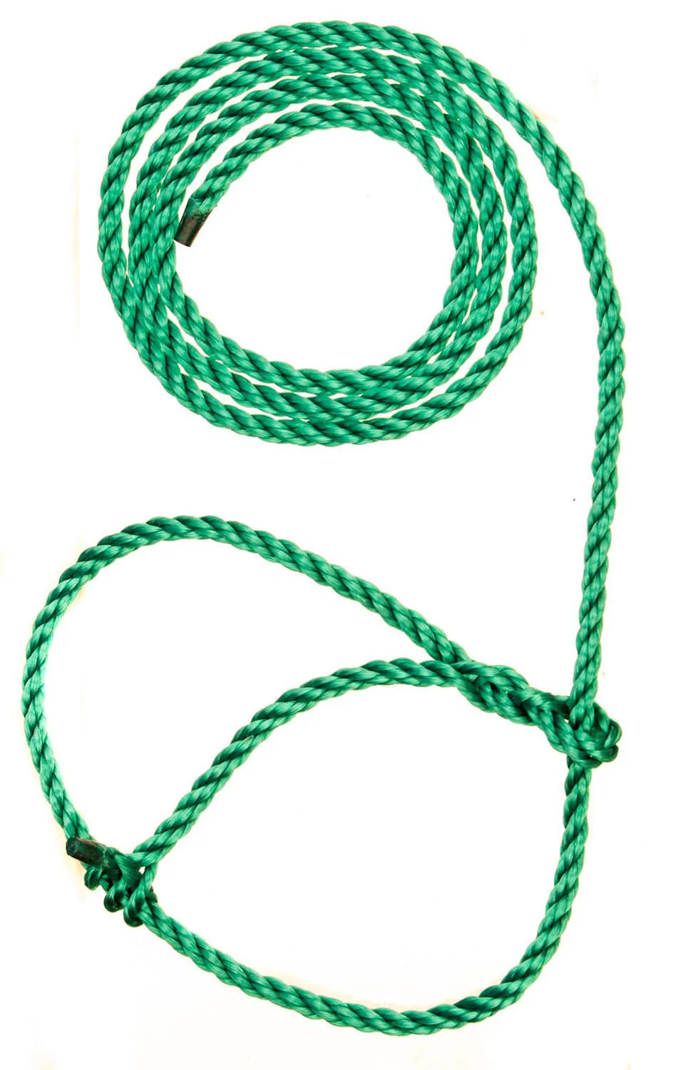 Troyer’s Poly Calf Halter with 5' Lead – Durable 3/8" Poly Rope - Image 11