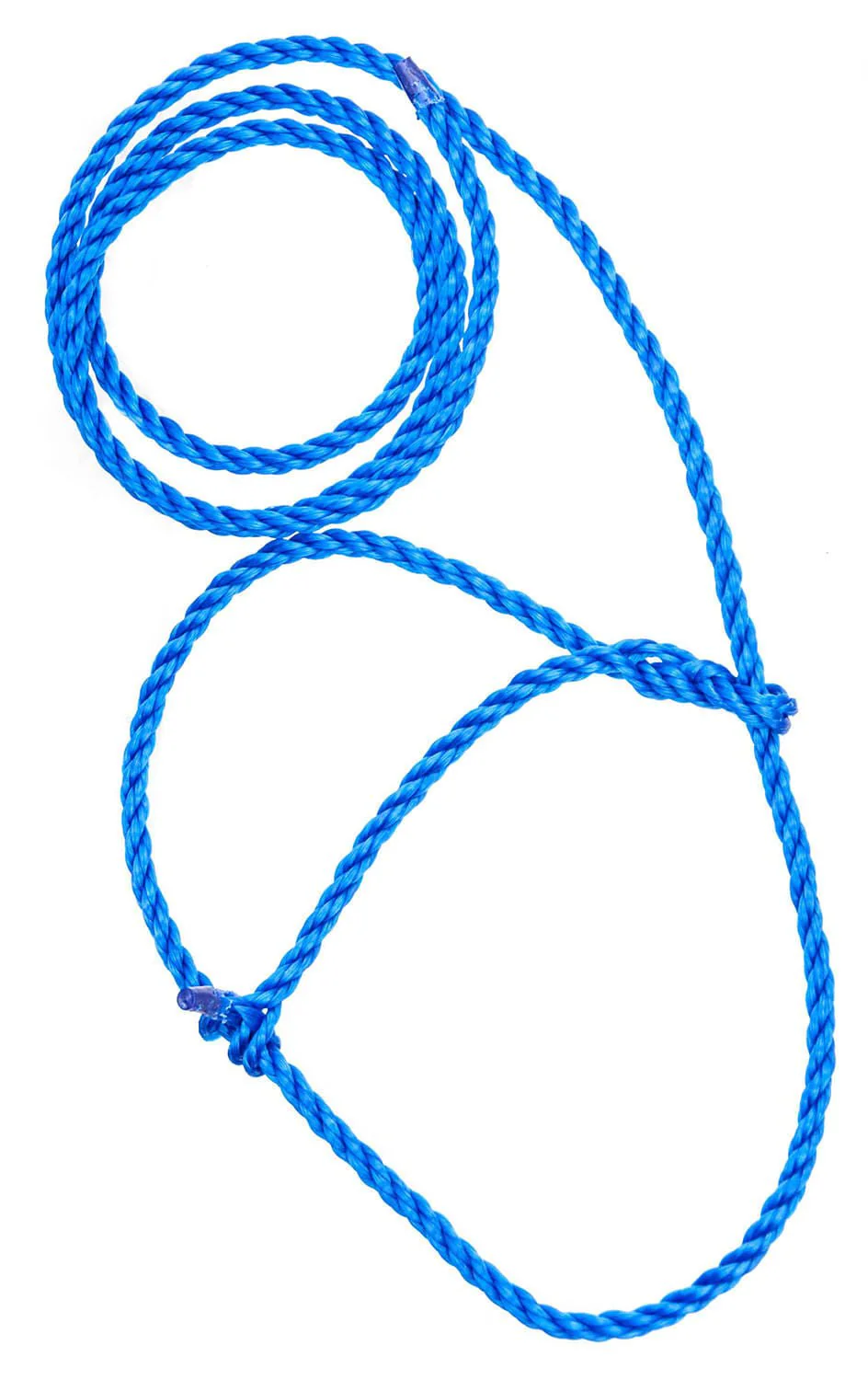 Troyer’s Poly Calf Halter with 5' Lead – Durable 3/8" Poly Rope - Image 6
