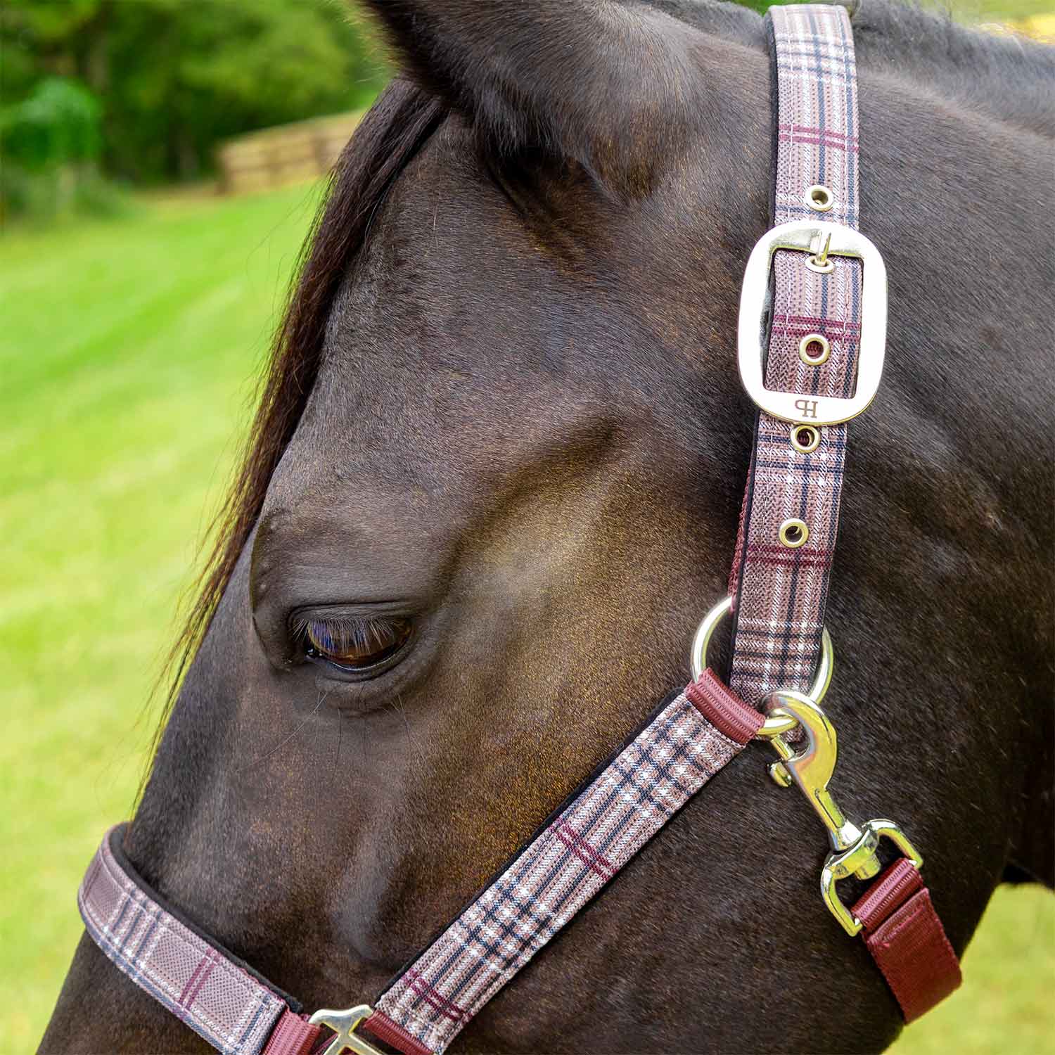 Jeffers Matching Horse Halter & Lead Rope 2 Piece Set, Full Size - Image 29