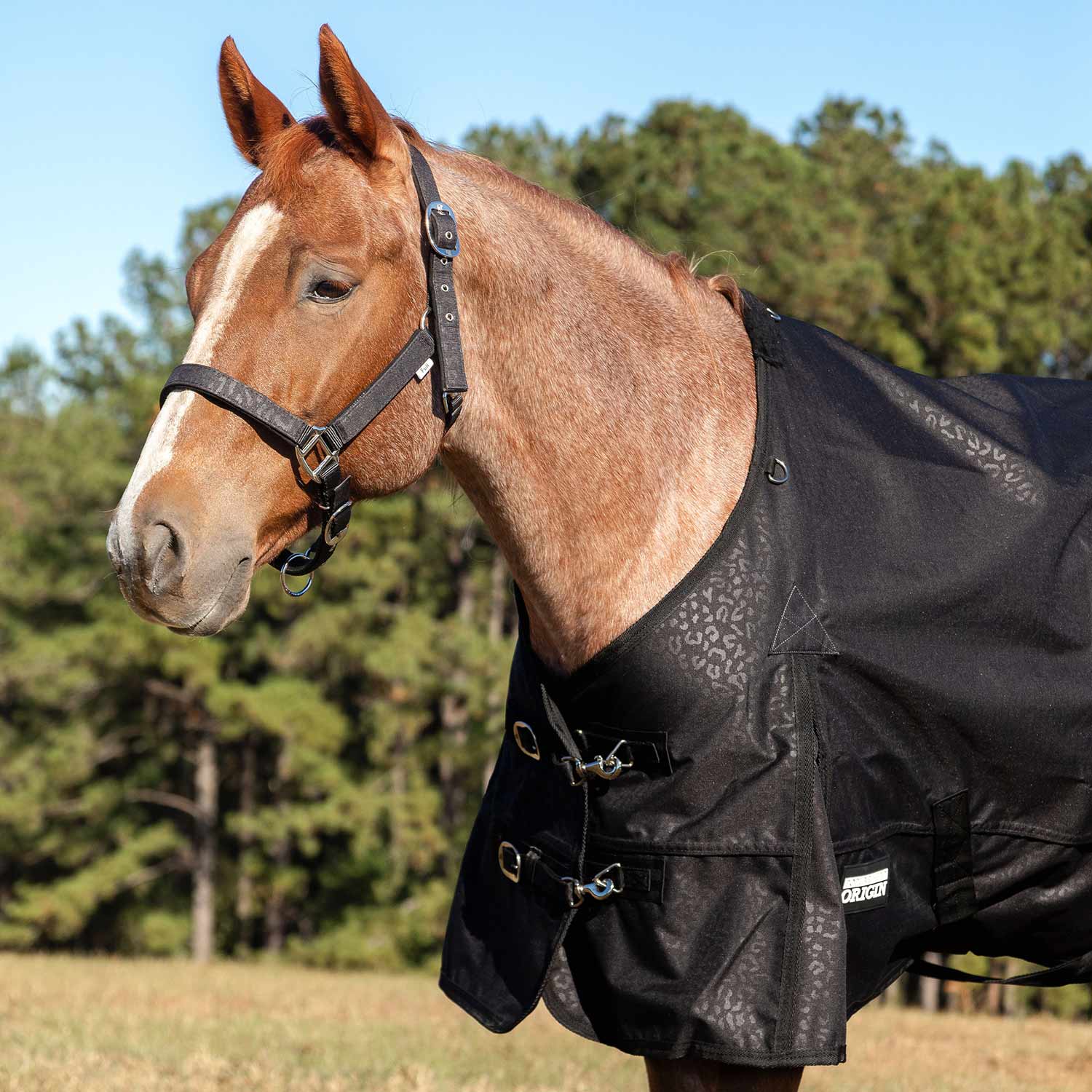 Jeffers Matching Horse Halter & Lead Rope 2 Piece Set, Full Size - Image 3