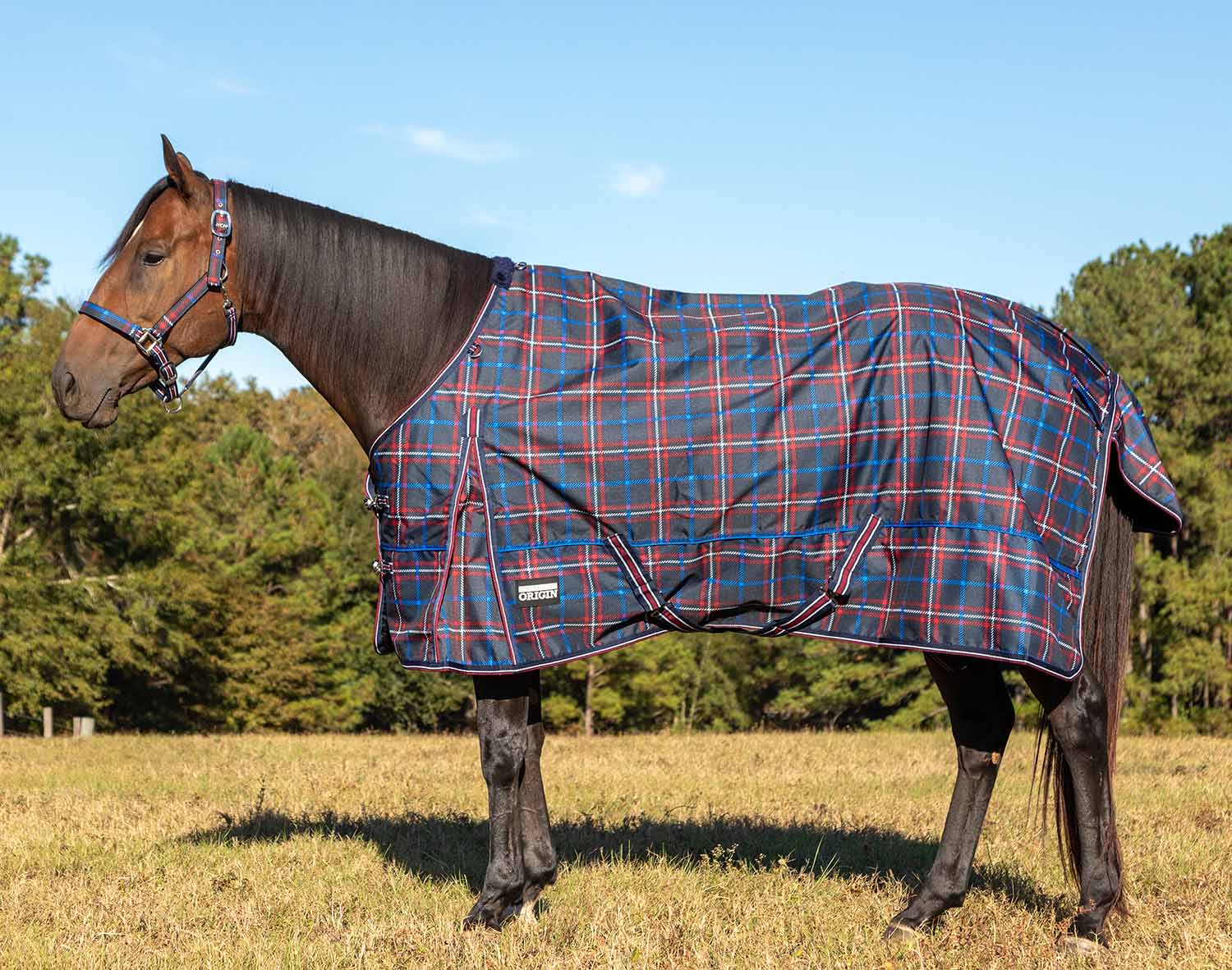 Jeffers Poplar Head "Origin" 600D Medium Weight Turnout Blanket, 240g | Waterproof & Breathable Horse Blanket - Image 14