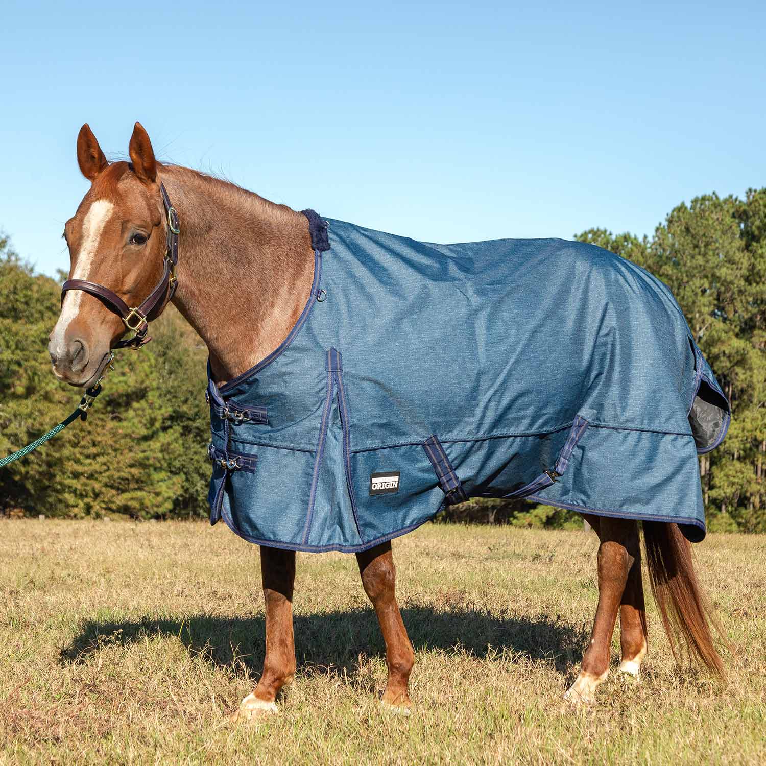 Jeffers Poplar Head "Origin" 600D Medium Weight Turnout Blanket, 240g | Waterproof & Breathable Horse Blanket - Image 28