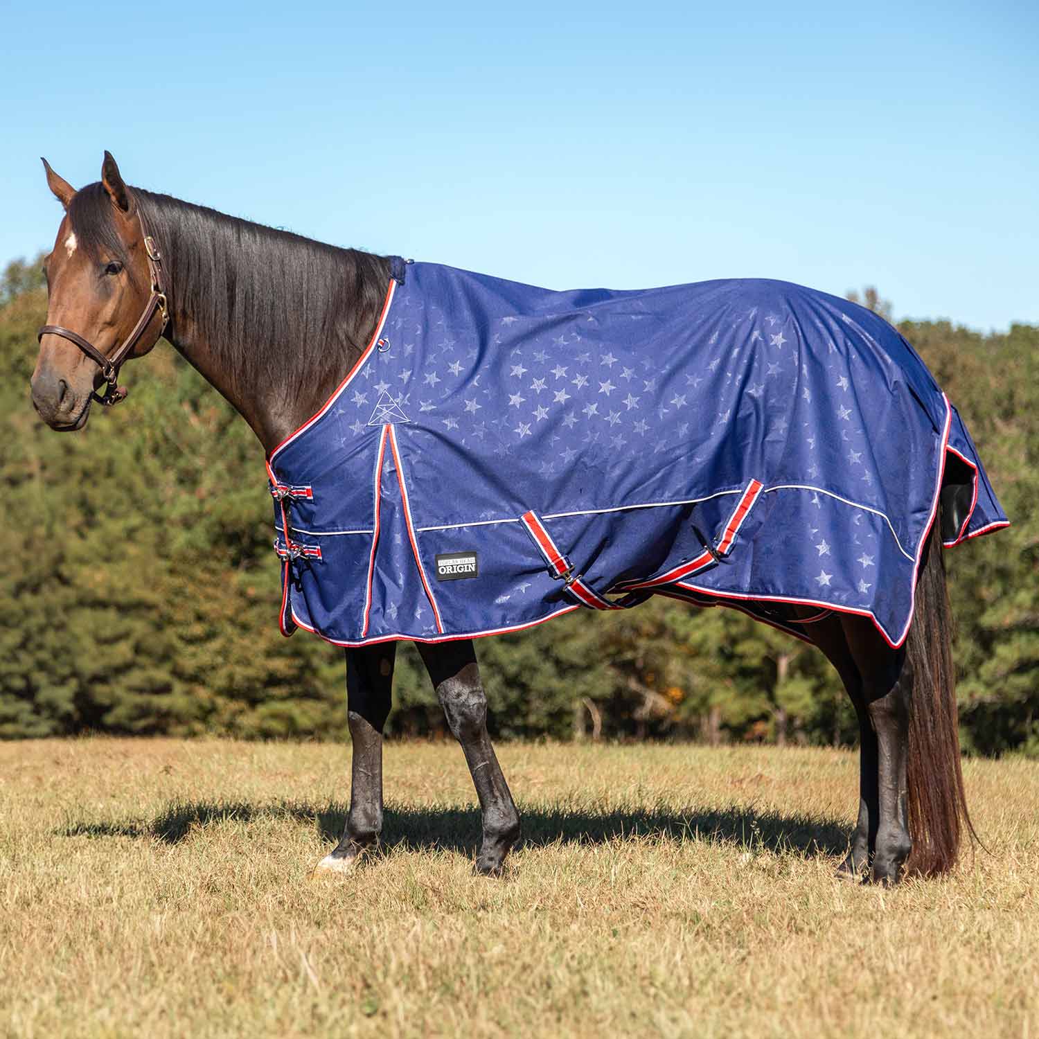 Jeffers Poplar Head "Origin" 600D Turnout Sheet - 0g Lightweight Waterproof Horse Blanket with Standard Neck & Tail Flap - Image 12