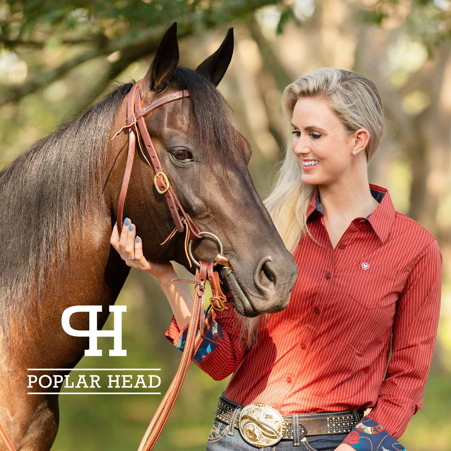 Jeffers Poplar Head Saddlery Oiled Harness Leather Browband Headstall with Waterloop Ends - Image 5